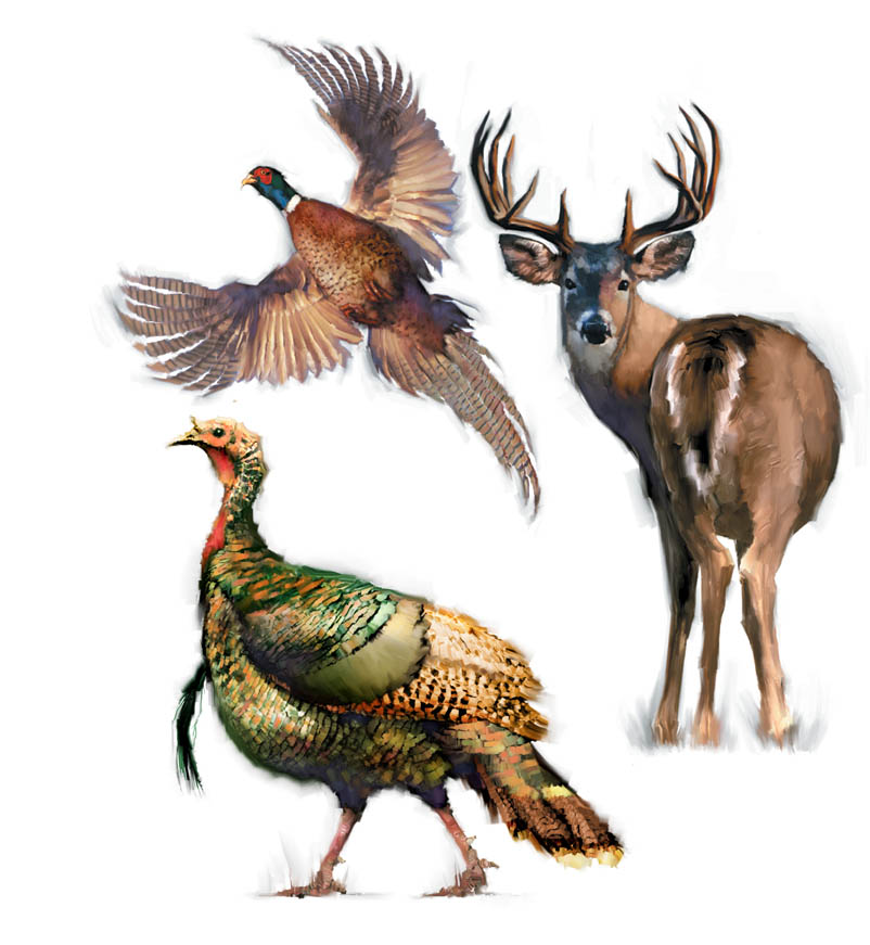 Faux Traditional-Pheasant Turkey and Whitetail Deer Illustration