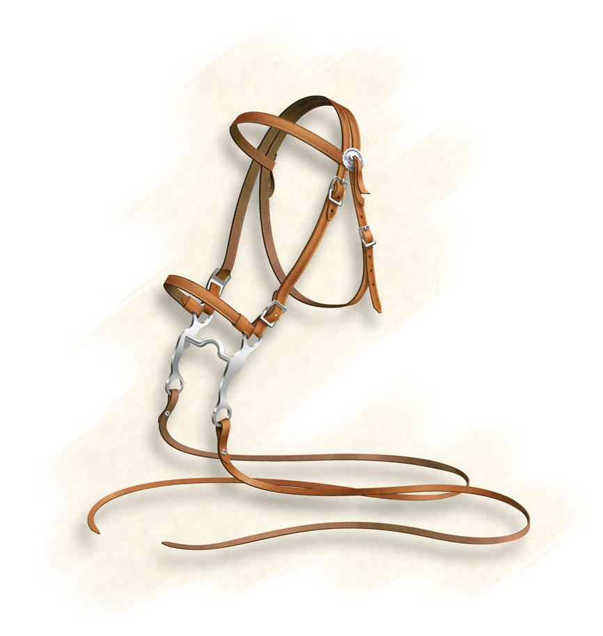 Realism-Bridle Illustration